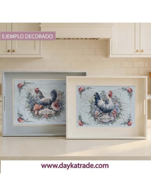 Set 2 bandejas rectas