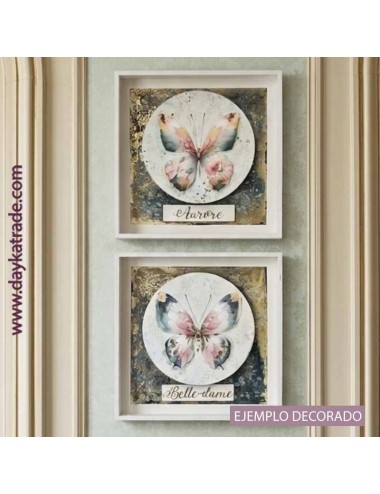 Cuadros Mariposas pareja Belle-Dame y Aurore