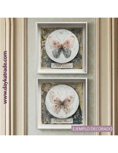 Cuadros Mariposas pareja Petit azure y demi-deuil.
