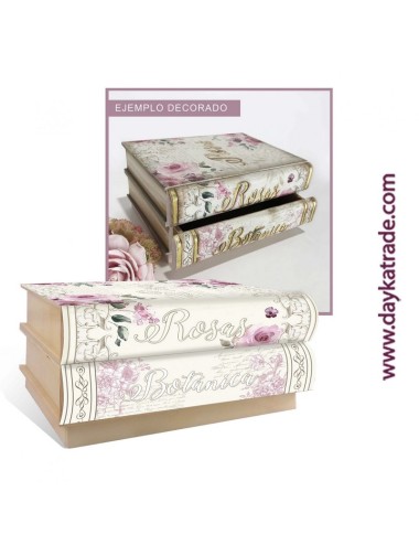 Caja 2 libros rosas