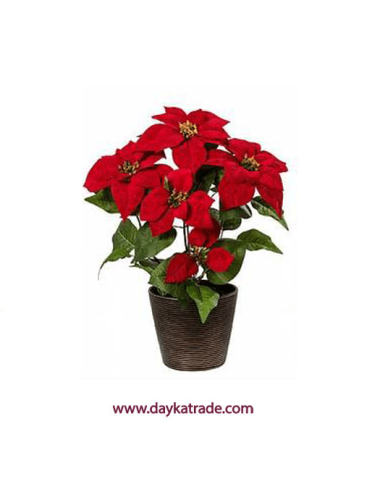 Flor de pascua velvet en maceta rojo 48 cm.