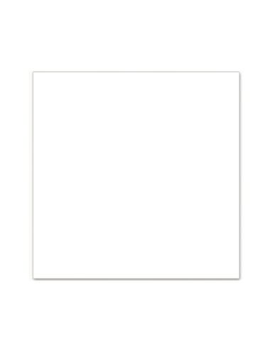 papel scrap liso blanco