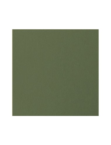 papel scrap liso oliva