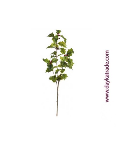 rama de ilex