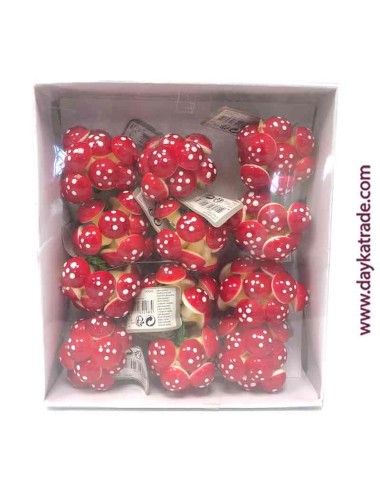 Caja con 12 ramilletes de setas