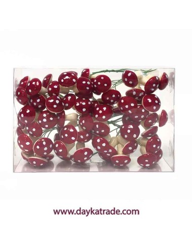 Caja de setas (72 pcs)